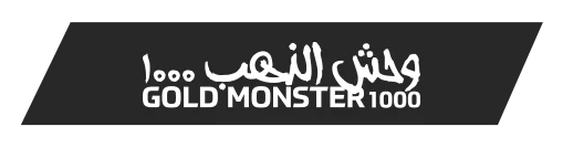 eskisehir-minelab-gold-monster-1000